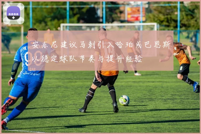安东尼建议马刺引入哈珀或巴恩斯以稳定球队节奏与提升经验